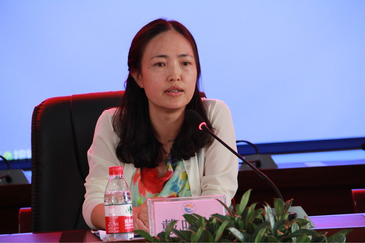 图为戴鸣娟院长正在进行总结发言