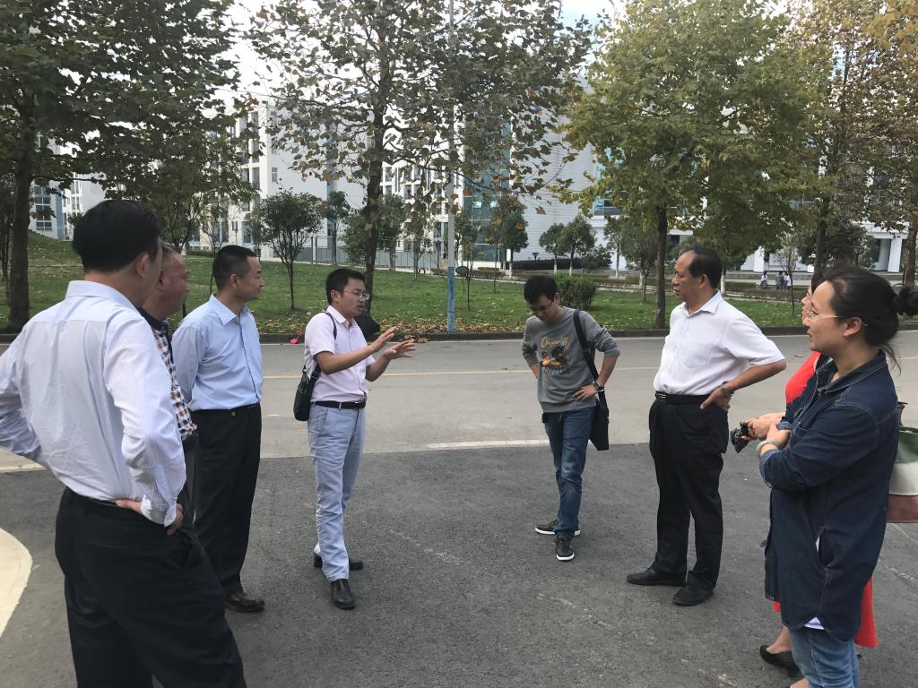 专家介绍道路绿化方案